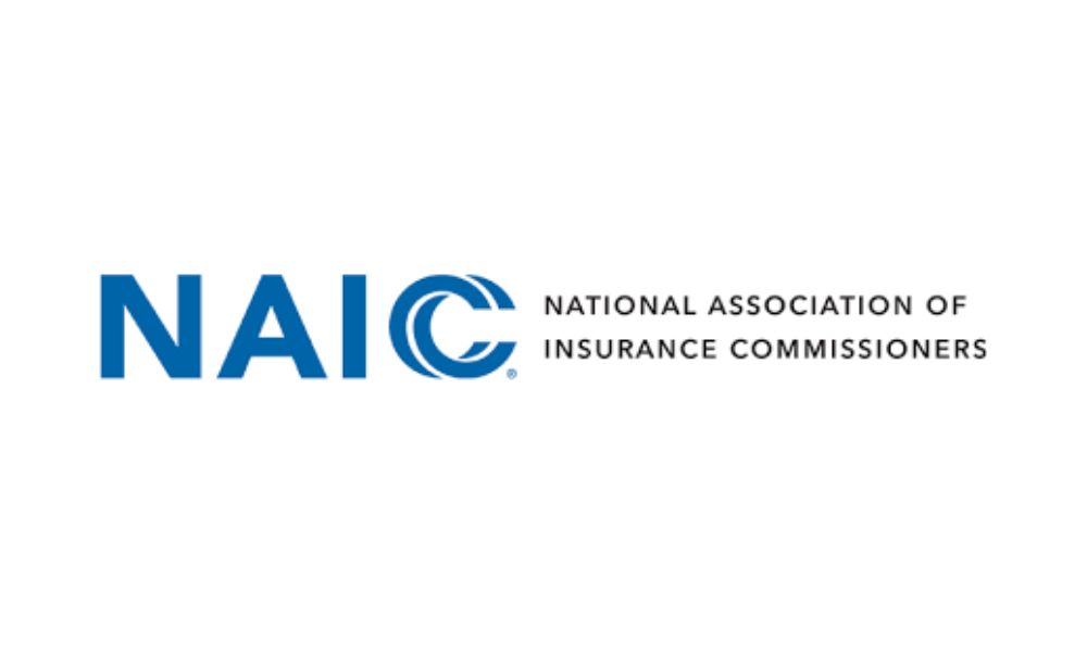 NAIC gives green light to new rules on insurer reinvestment assumptions
