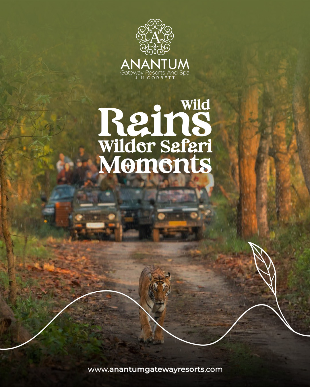 Jungle Safari in Jim Corbett