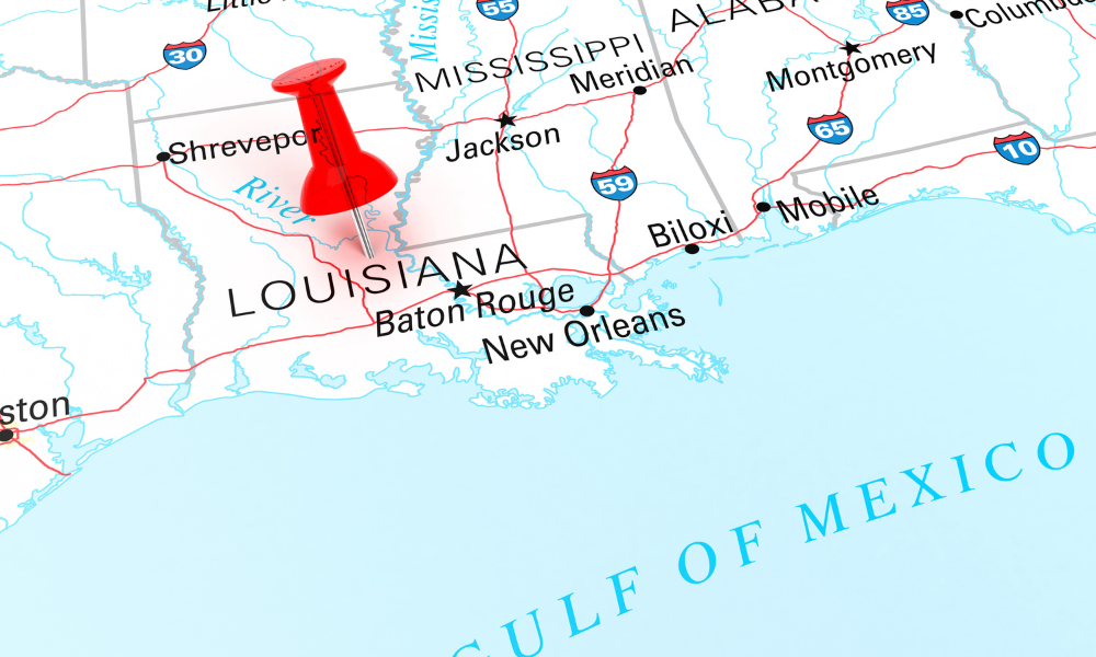 Louisiana names two unlicensed insurance entities, puts TPAs on notice