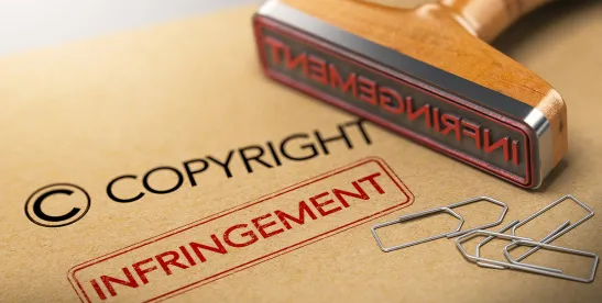 What Can be Gleaned from Bissel, inc v ITC Decision