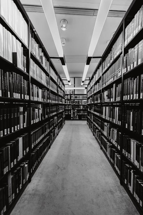 Conflicting Fiduciary Duties, Indirect Control, and Post-Demand Evidence: The Paramount Books and Records Litigation